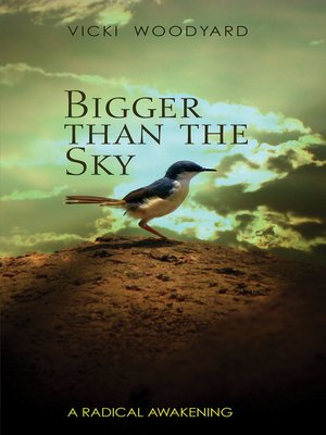cover image of Bigger Than the Sky